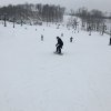 2019 Perfect North